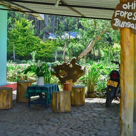Ohiya Forest Lodge 외부 사진