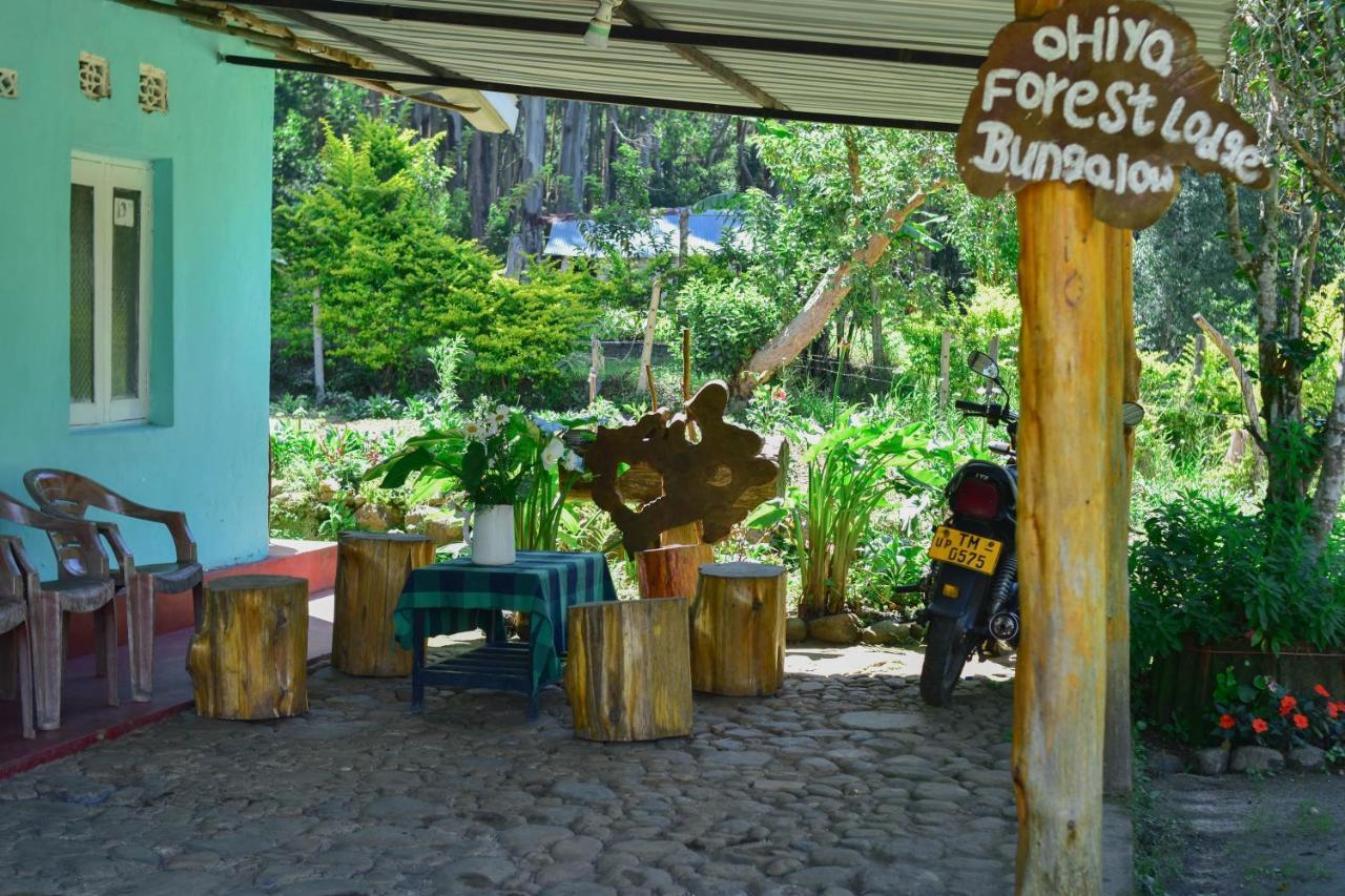 Ohiya Forest Lodge 외부 사진