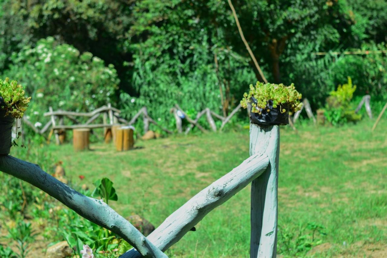 Ohiya Forest Lodge 외부 사진