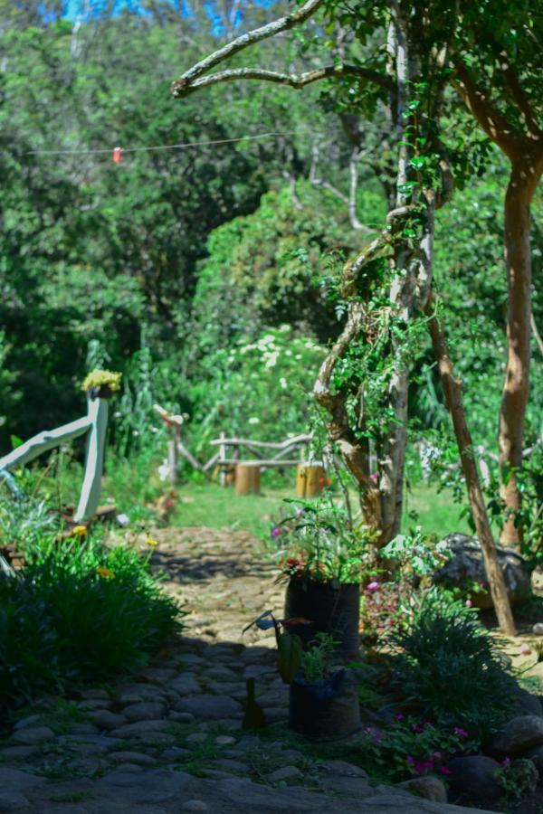 Ohiya Forest Lodge 외부 사진