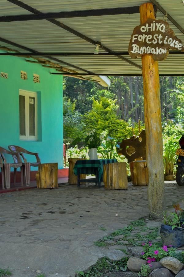 Ohiya Forest Lodge 외부 사진