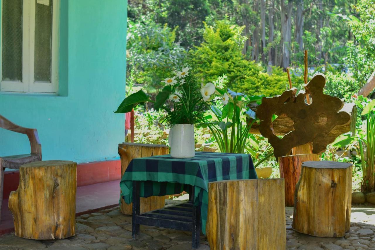 Ohiya Forest Lodge 외부 사진