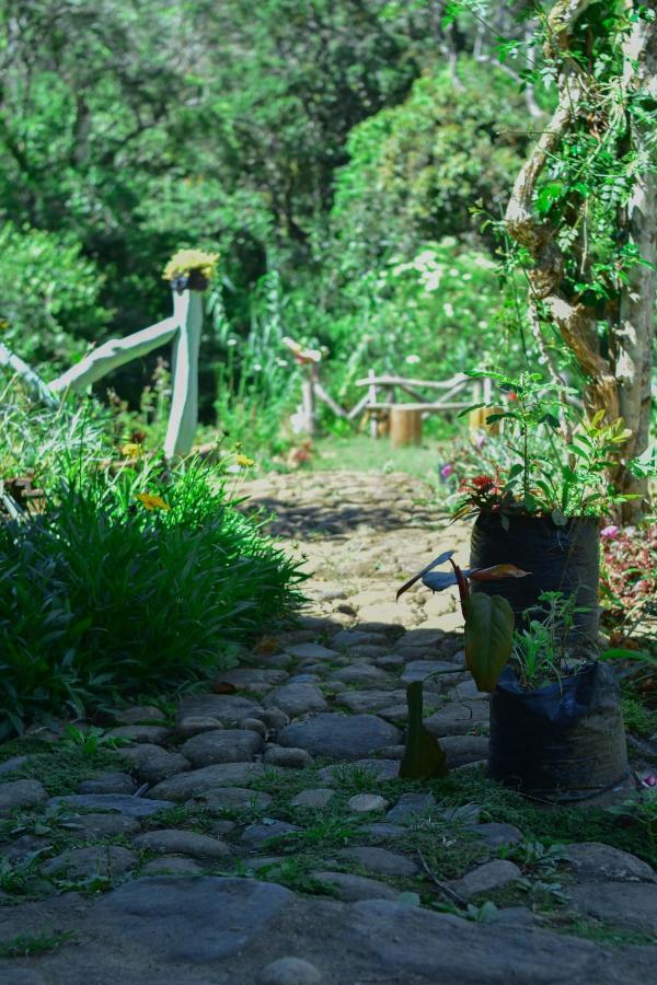 Ohiya Forest Lodge 외부 사진