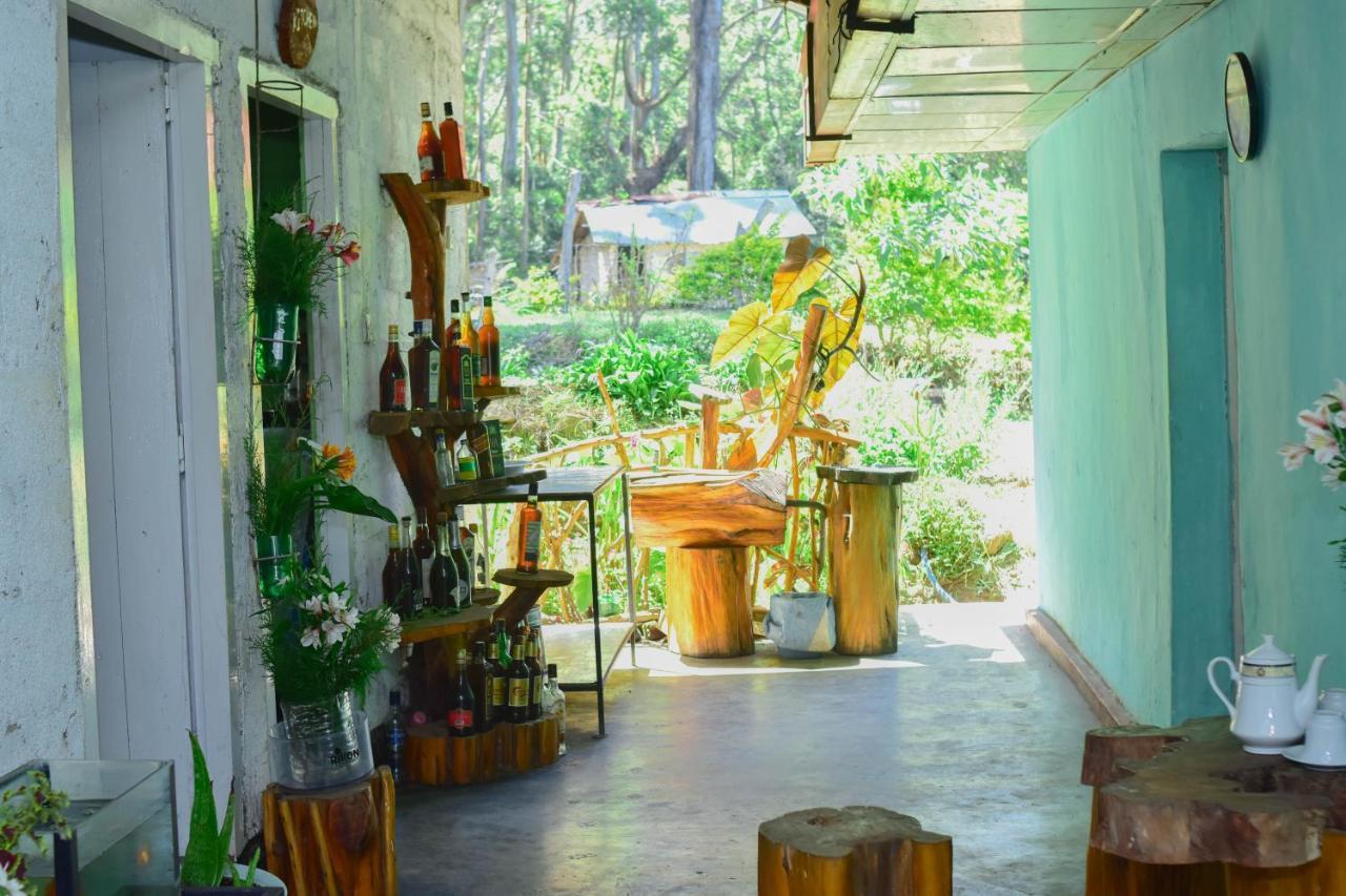 Ohiya Forest Lodge 외부 사진